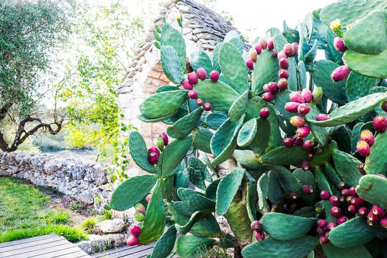 Masseria Trulli&Stelle B&B Noci Esterno foto